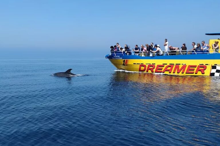 Benagil And Dolphin Tour