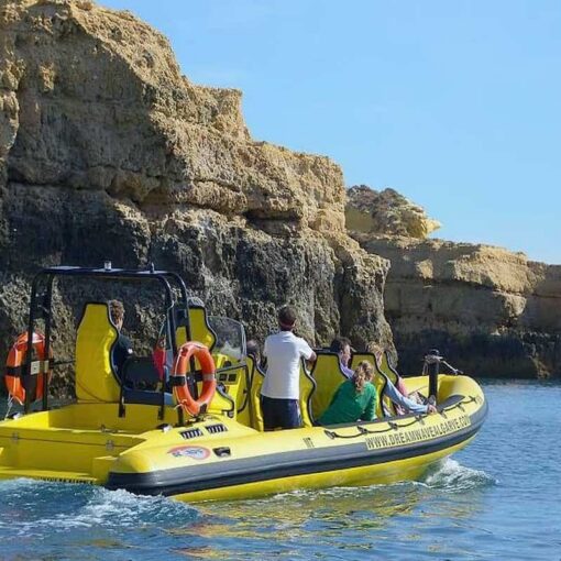 Benagil And Dolphin Albufeira