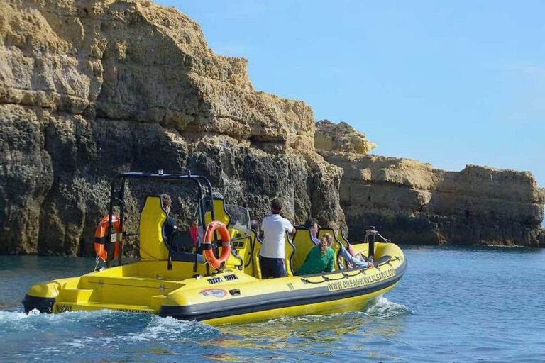 Benagil And Dolphin Albufeira