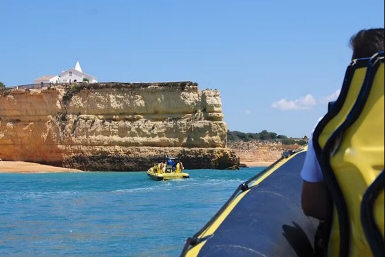 Benagil And Dolphin Albufeira