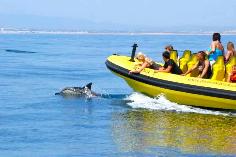 Benagil And Dolphin Albufeira