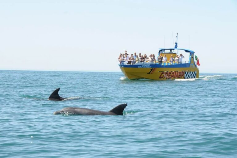 Benagil And Dolphin Tour