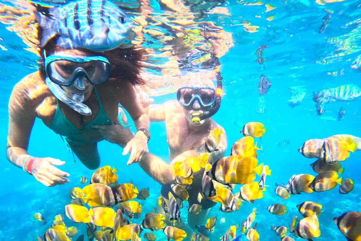 Bali Manta Ray Snorkeling