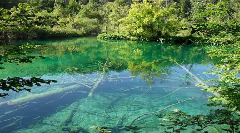 Plitvice Lakes Tour From Split