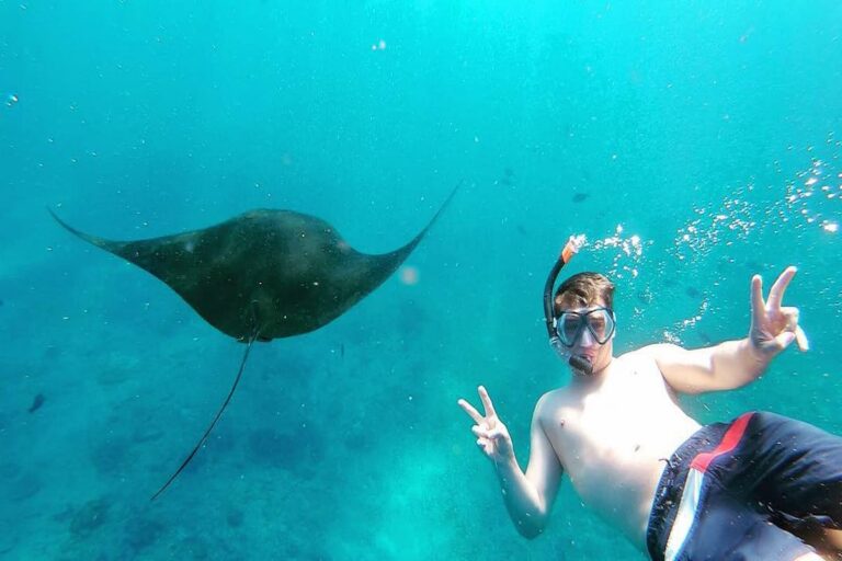 Nusa Lembongan Manta Ray Snorkeling
