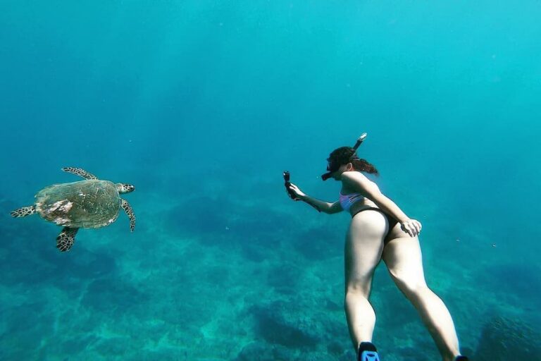 Nusa Lembongan Manta Ray Snorkeling