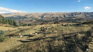 Sacred Valley Full Day Tour from Cusco