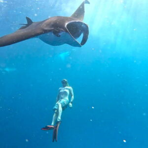 Nusa Lembongan Manta Ray Snorkeling