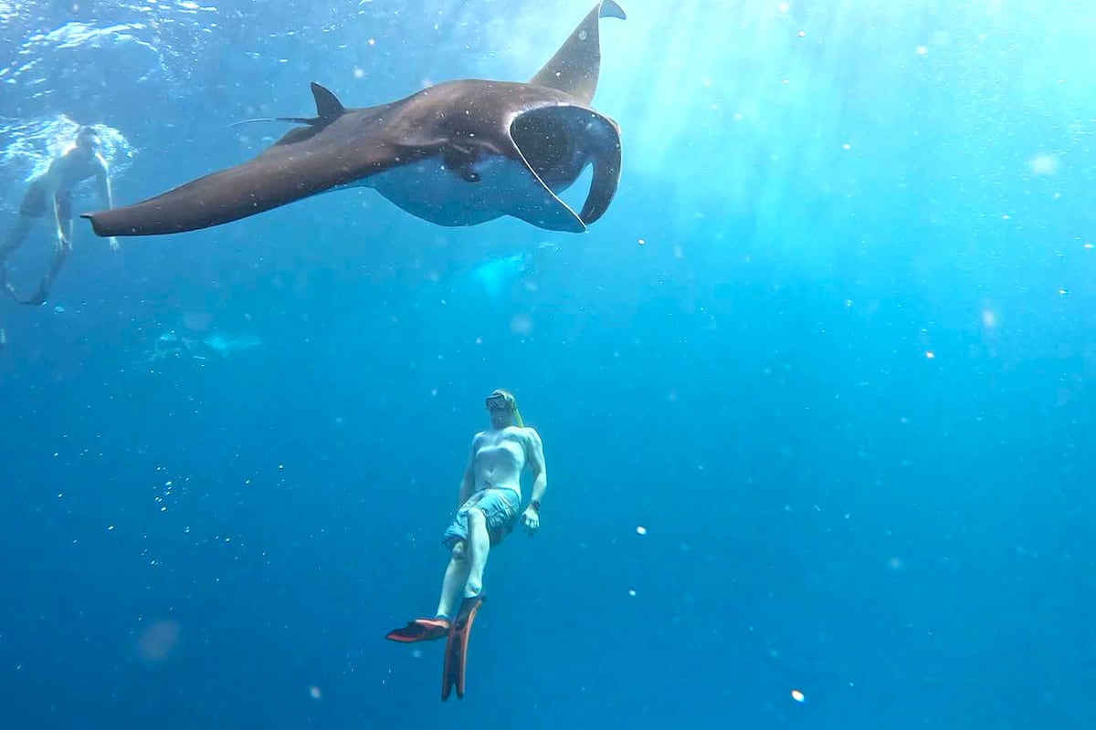 Nusa Lembongan Manta Ray Snorkeling