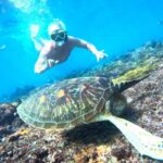 Bali Manta Ray Snorkeling
