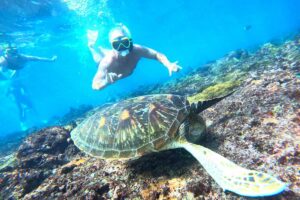 Bali Manta Ray Snorkeling