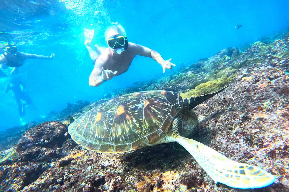 Bali Manta Ray Snorkeling