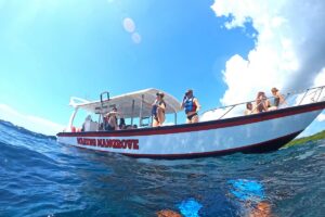 Nusa Penida Manta Ray Snorkeling