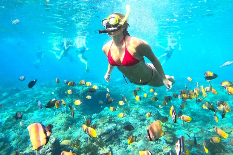 Nusa Lembongan Manta Ray Snorkeling