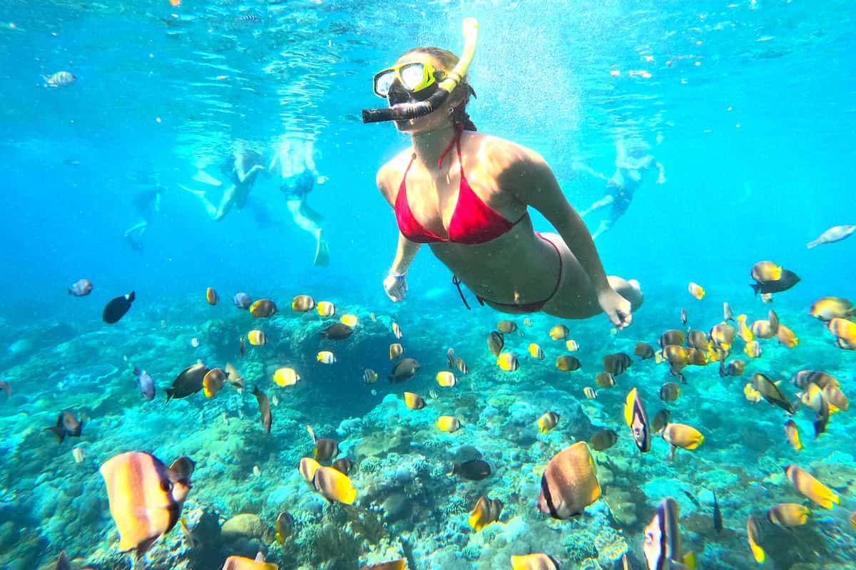 Nusa Lembongan Manta Ray Snorkeling