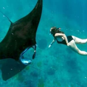 Bali Manta Ray Snorkeling