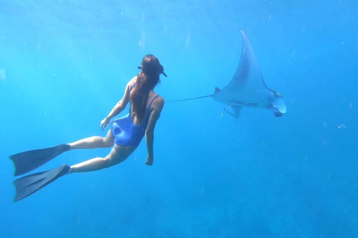 Bali Manta Ray Snorkeling