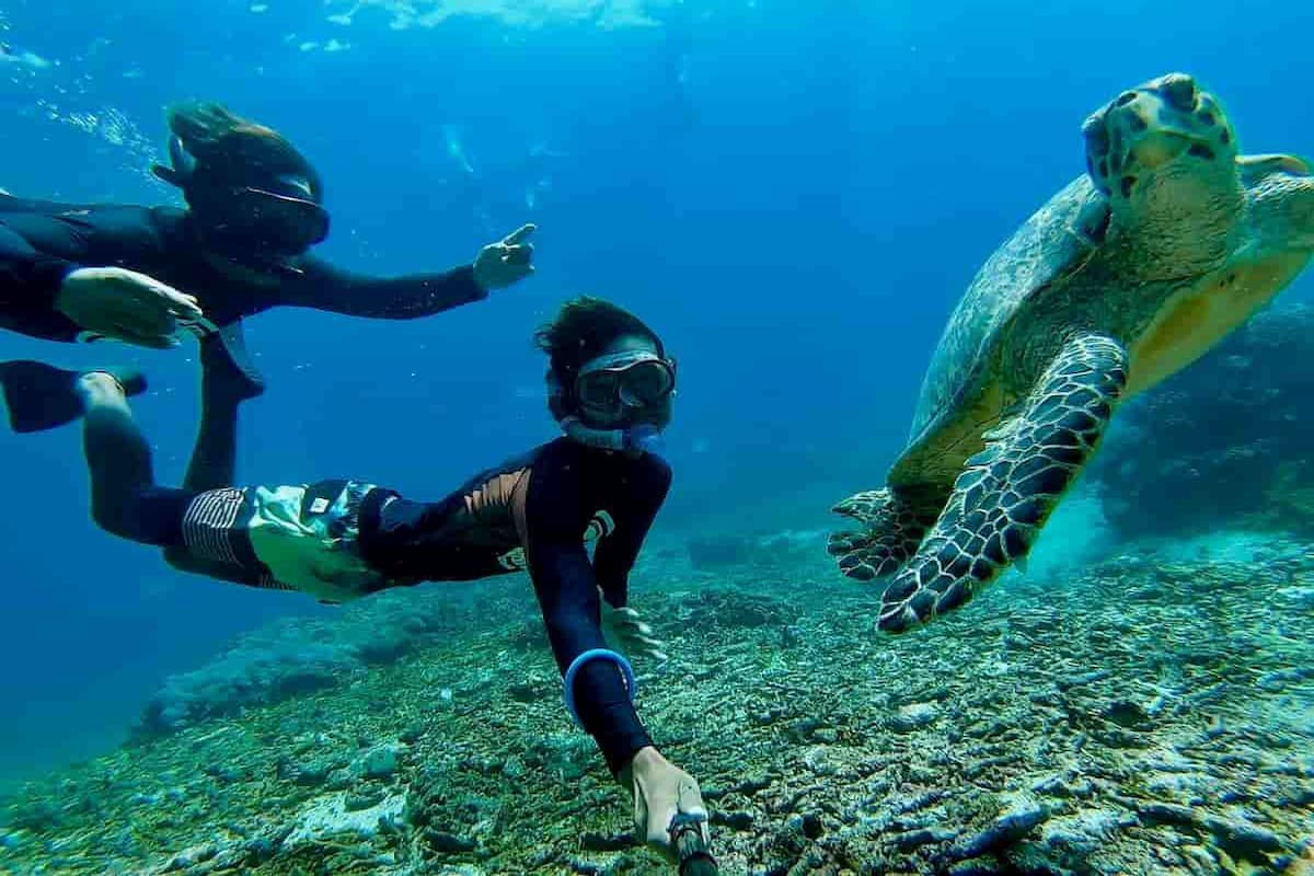 Nusa Lembongan Manta Ray Snorkeling
