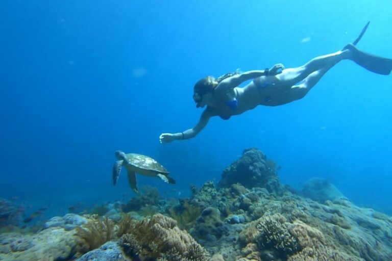 Nusa Lembongan Manta Ray Snorkeling