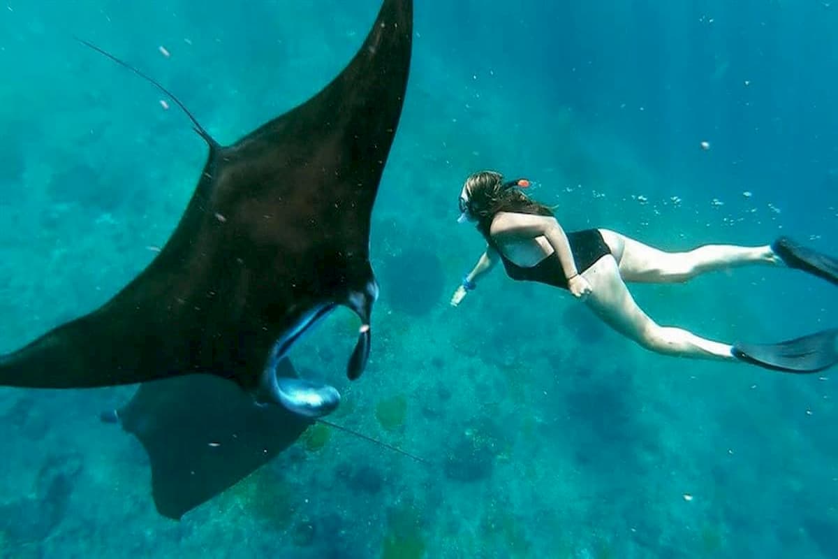 Private Nusa Penida Tour Manta Ray Snorkeling Trip Lunch