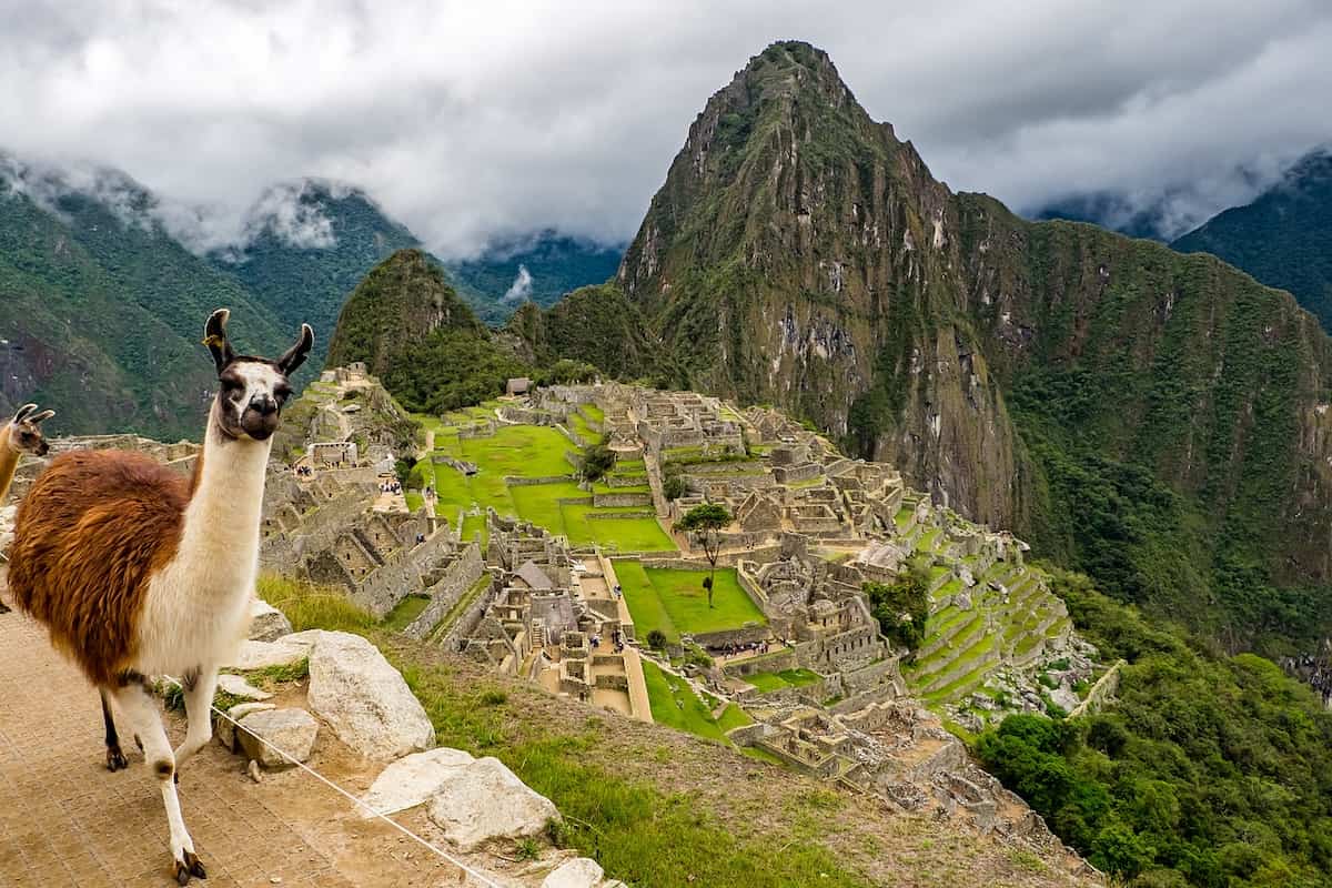 Inca Jungle Trek to Machu Picchu