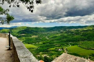Private Istria Truf­fle Hunt­ing Full Day Trip from Zagreb