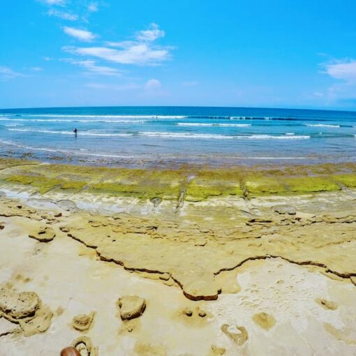 Bali Guide 2026
