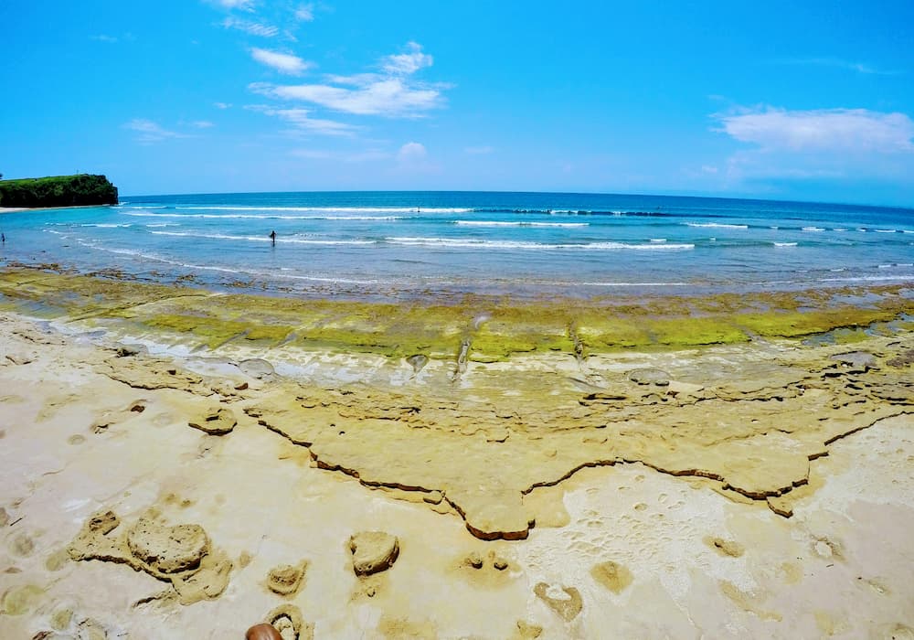 Bali Private Car Transfer With English Speaking Driver – Full Day