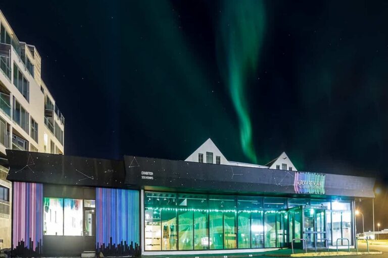 Northern Lights Tour