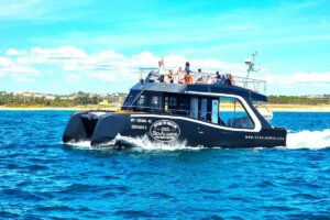 Benagil Cruise From Albufeira