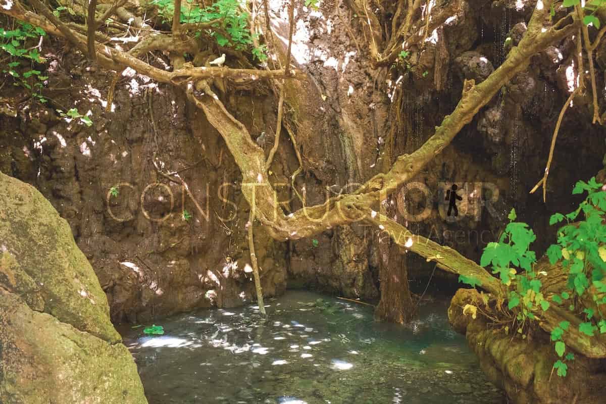 Paphos Blue Lagoon Boat Trip