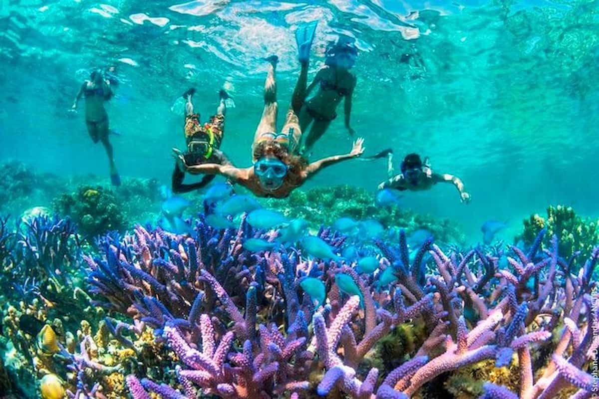 Bali Blue Lagoon Snorkeling