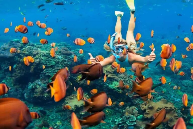Bali Blue Lagoon Snorkeling