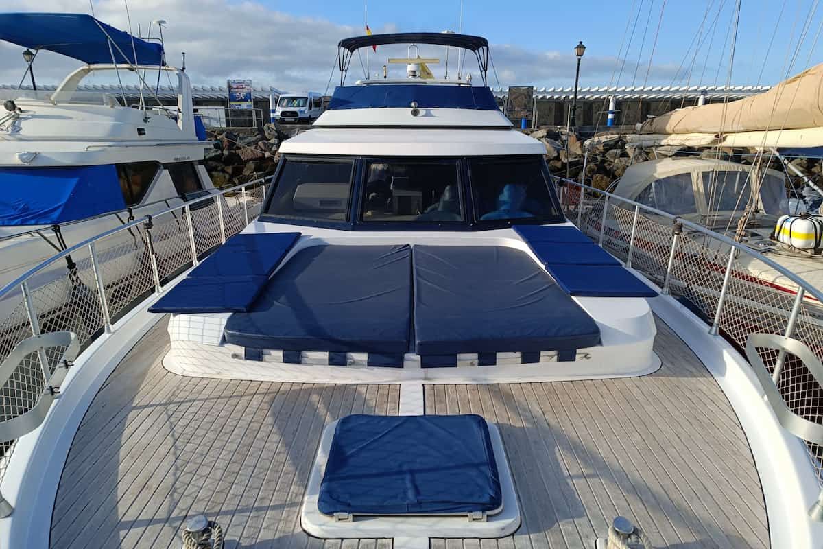 puerto de mogan dolphin watching