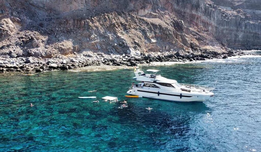 puerto de mogan dolphin watching