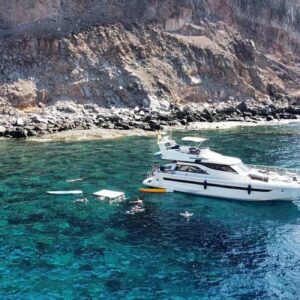 puerto de mogan dolphin watching