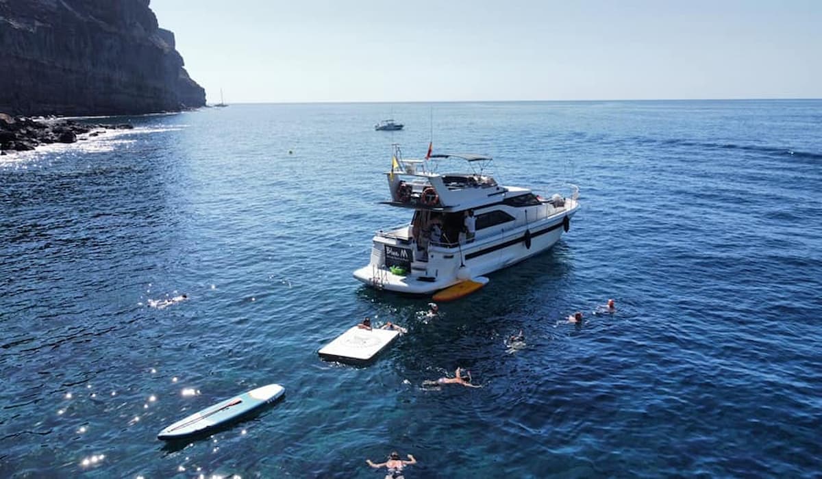 puerto de mogan dolphin watching