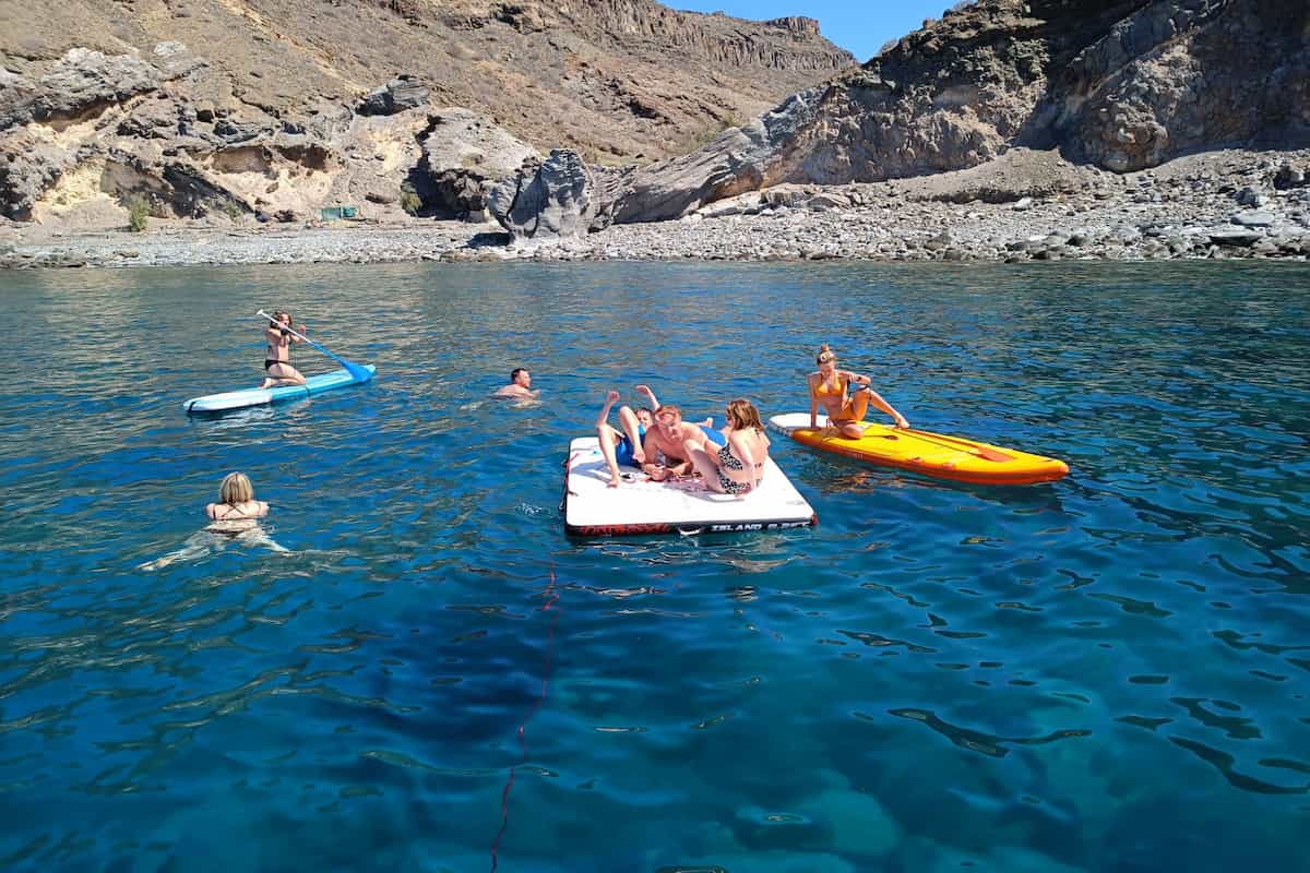 puerto de mogan dolphin watching