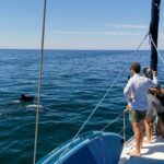 Vilamoura Sailing Tour