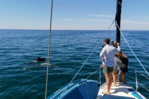 Vilamoura Sailing Tour