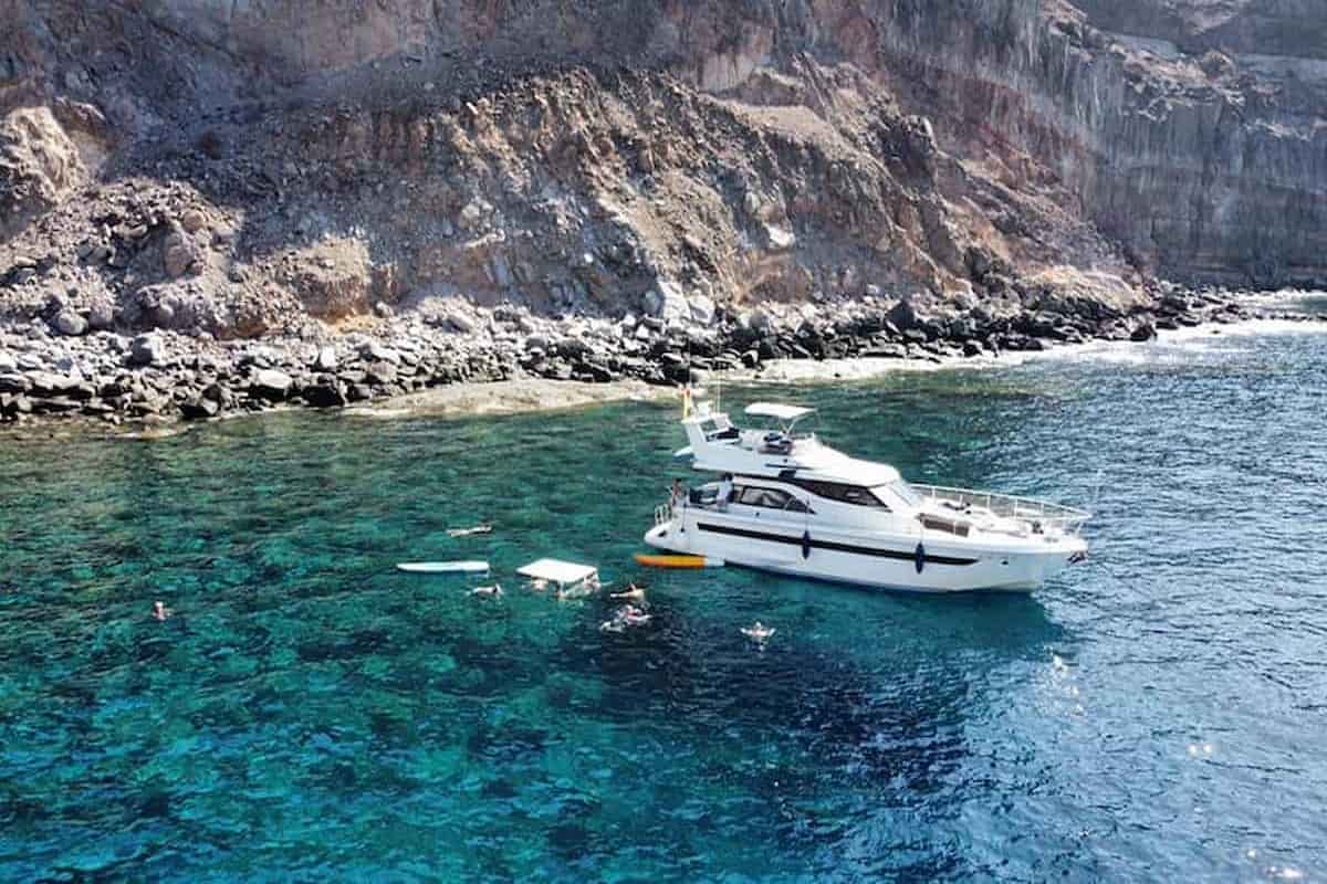 puerto de mogan dolphin watching