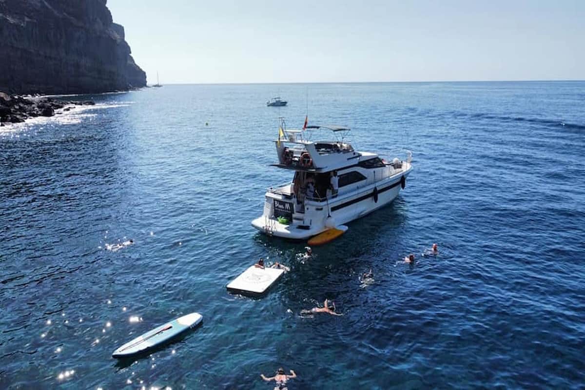 puerto de mogan dolphin watching