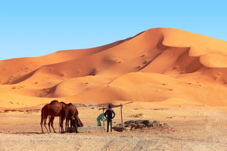 Fes To Marrakech Desert Tour