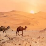 Fes Desert Tour