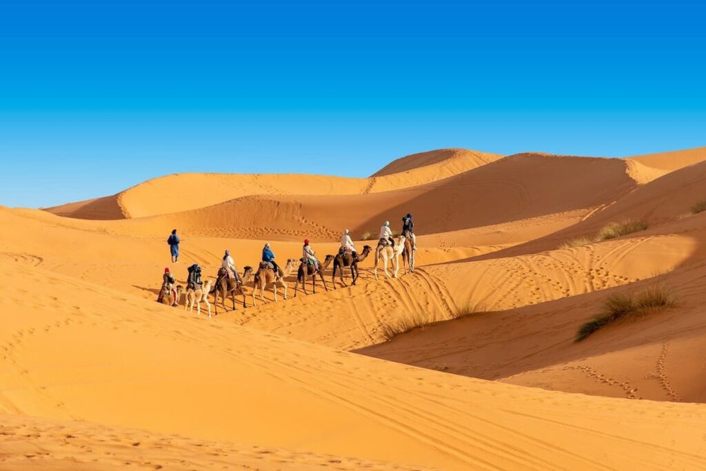 Fes To Marrakech Desert Tour