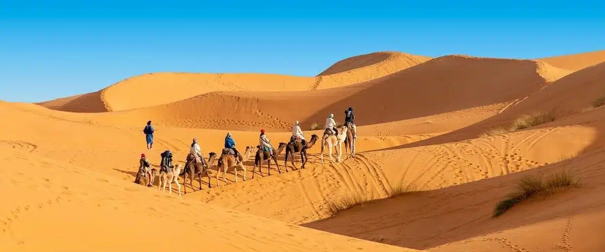 Fes To Marrakech Desert Tour