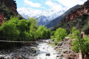 Ourika Valley Day Trip