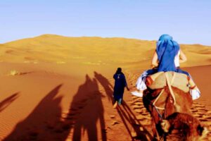 Fes To Marrakech Desert Tour