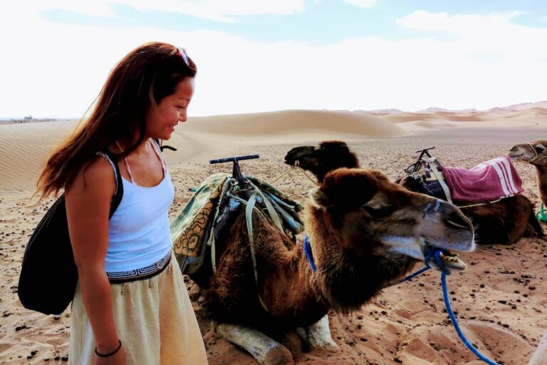 Fes To Marrakech Desert Tour