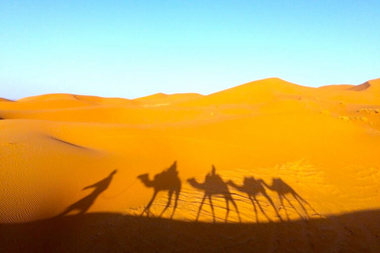 Fes To Marrakech Desert Tour